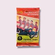 2013 The Beach Boys Panini Hobby Pack 